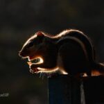 GANESH PRASAD UP profile photo
