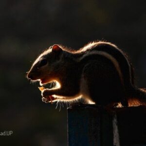 GANESH PRASAD UP profile photo